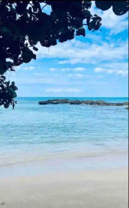 Natty'S Cozy Beach House In Hanover Jamaica Lucea Extérieur photo