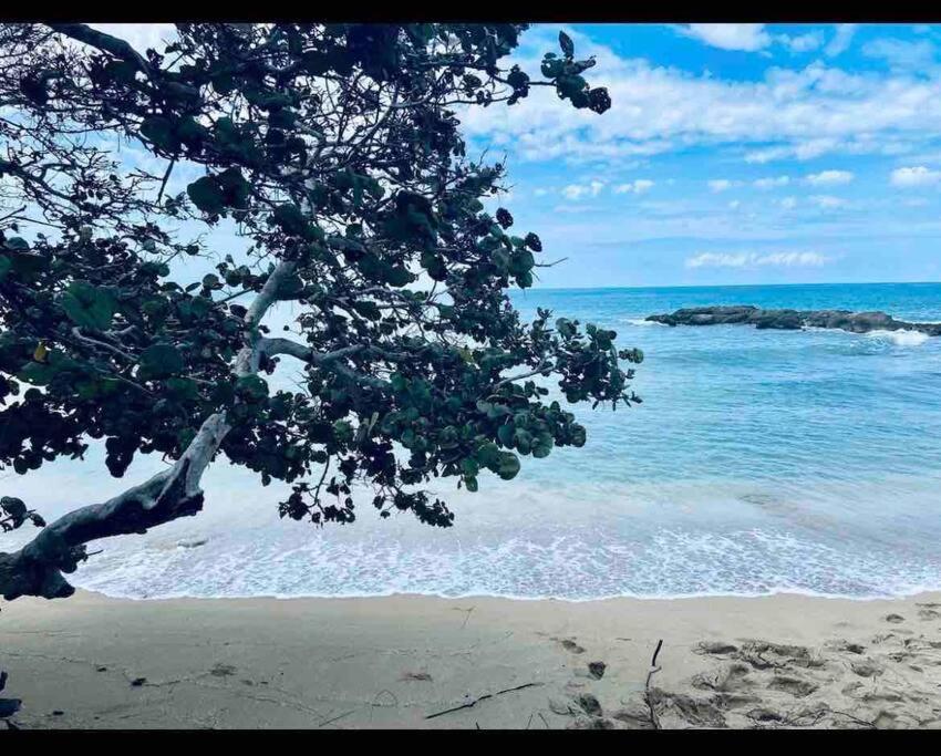 Natty'S Cozy Beach House In Hanover Jamaica Lucea Extérieur photo